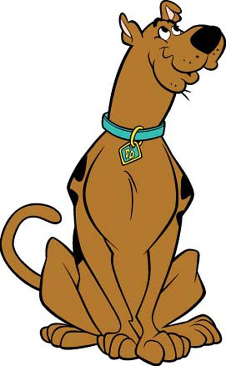 A picture of Scooby the dog