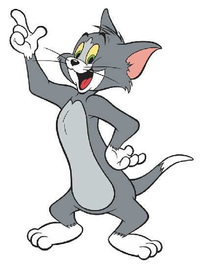 A picture of Tom the cat
